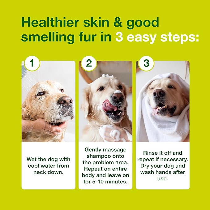 Douxo S3 SEB Shampoo, Contains 0.5% Ophytrium, Odor Control & Seboregulating, for Oily to Flaky Skin, Seborrhea, for Dogs and Cats, 6.7 fl. oz. (200mL)