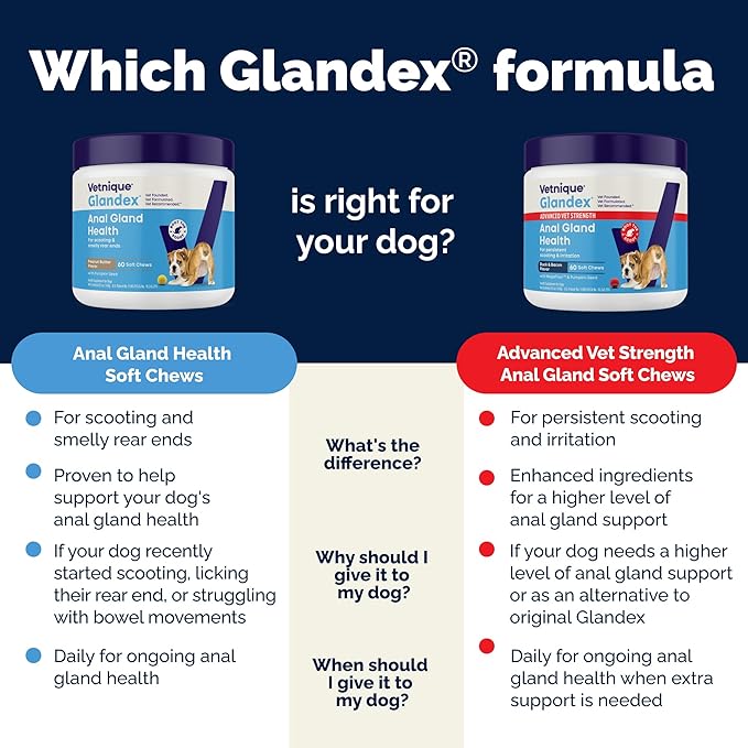 Vetnique Glandex Anal Gland Soft Chew Treats with Pumpkin for Dogs Digestive Enzymes, Probiotics Fiber Supplement for Dogs Boot The Scoot (Bacon Flavor Chews, 60 Count)