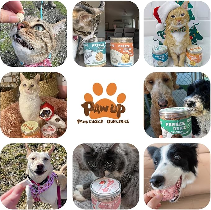 PAWUP Freeze Dried Cat & Dog Treats, Natural Quail Egg Yolk, Rich in Antioxidants Cranberry Added, High-Protein Pet Snacks for Coat & Urinary Health, 3.5 oz