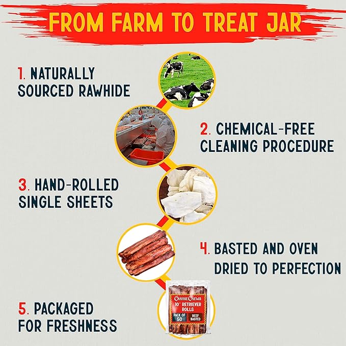 Canine Chews 10" Beef Basted Rawhide Bones for Large Dogs (50 Pack) - Hand-Rolled Dog Rawhide Chews Basted in Beef Broth - Beef Dog Rawhide Bones Promotes Dental Health - Hand-Rolled in Beef Broth