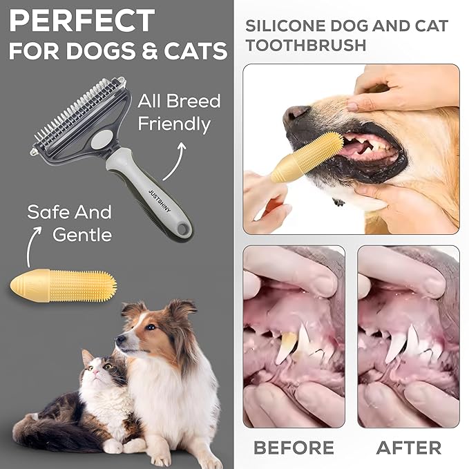 Pet Grooming Set – 1 Brush + 2 Toothbrushes (Soft & Finger) for Dogs & Cats(White)