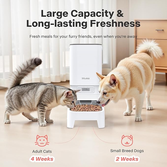 Automatic Cat Feeder with Elevated Stand, 7L/29 Cups Automatic Dog Feeder, Cat Food Dispenser, No-Jam, Up to 6 Meals for 2-15 mm Dry Food, Stainless Steel Bowl, No Spinal Pressure