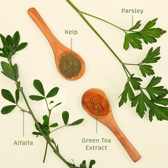 Spirited Paw Pet Wellness Bundle - Dental & Probiotic Support for Cats and Dogs - Teeth Powder & Gut Health Capsules for Oral and Digestive Health - 165 g Powder & 90 Capsules