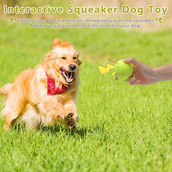 Magicorange 6 Pack Small Tennis Balls, 2 inch Squeaky Tennis Ball for Dogs,Colorful Easy Catching Squeaky Dog Balls with Mesh Bag for Easy Transport (Yellow)