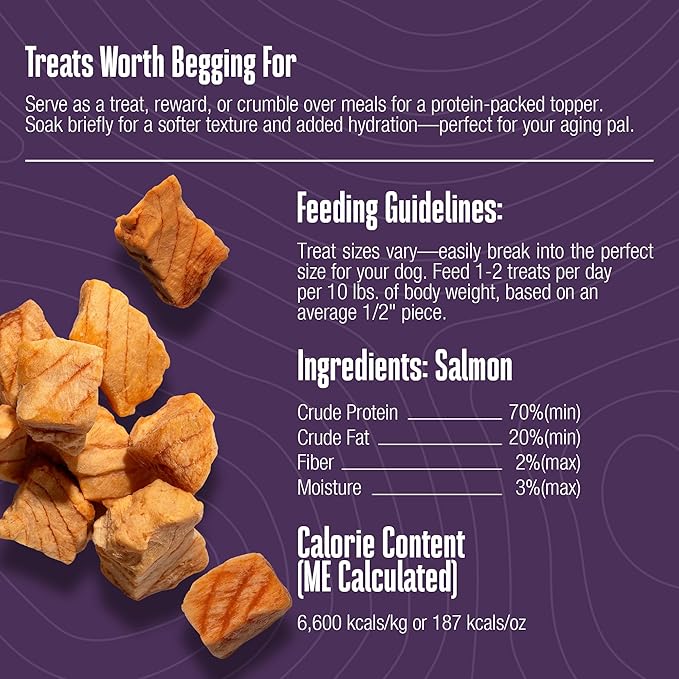 Whole Life Dog Just One Salmon Freeze Dried Dog Treats - Human Grade High Protein Food, Healthy Training Snacks, Freeze Dried Salmon Food Toppers, USA Made Natural Treats - 8 oz (Value Pack of 1)