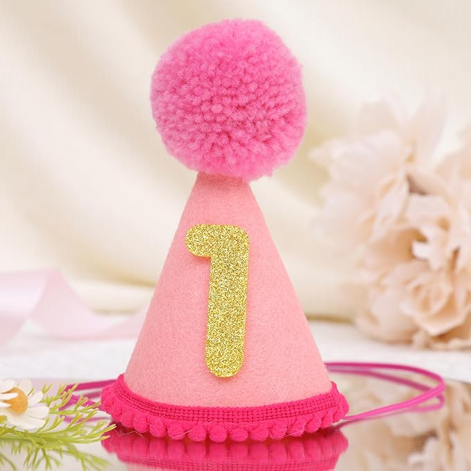 Pet Birthday Hat with Interchangeable Numbers 1-10 | Adjustable Pet Party Cone Hat for Dogs & Cats | Puppy Birthday Photo Props for 1st to 10th Birthday Celebrations (Pink Birthday Pet Hat)