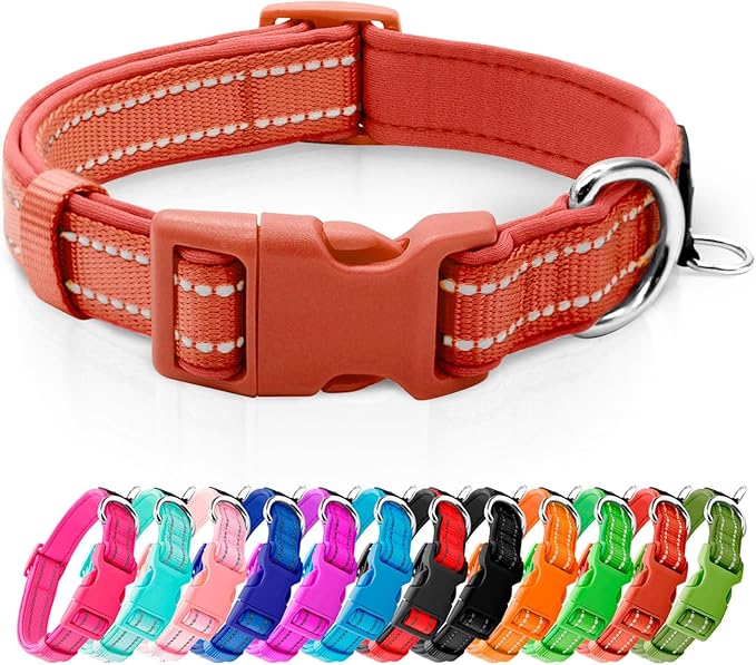 azuza Reflective Dog Collar, Soft Neoprene Padded Pet Collar with ID Tag Ring, Adjustable for Small Dogs,Rust Red,S