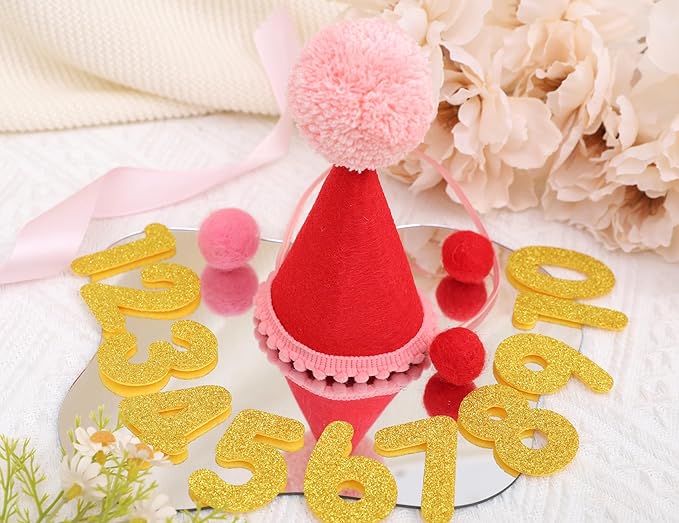Pet Birthday Hat with Interchangeable Numbers 1-10 | Adjustable Pet Party Cone Hat for Dogs & Cats | Puppy Birthday Photo Props for 1st to 10th Birthday Celebrations (Red Birthday Pet Hat)