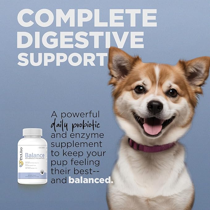 PetJoy Dog Probiotic Chews for Digestive Health - Puppy Diarrhea Probiotics for Dog Gas Relief and Gut Health - Digestive Enzymes for Dogs Diarrhea (60 Probiotics for Dogs Fiber Supplements)