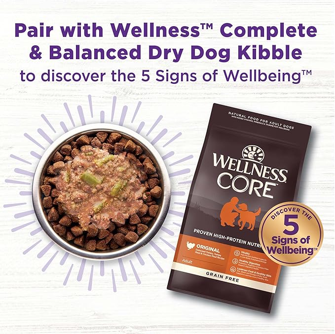 Wellness Bowl Boosters Hearty Toppers, Wet Dog Food Topper for Small, Medium, & Large Breeds, Grain Free, Natural, Beef & Green Beans in Broth, 5.5 Ounce Pouch (Pack of 12)