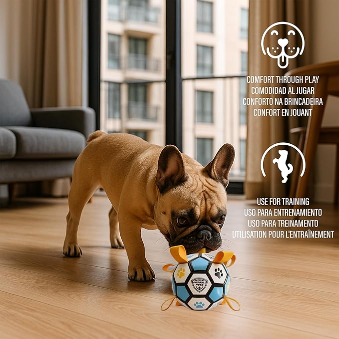 ProBall Pets Interactive Dog Soccer Ball with Grab Tabs - Floats on Water, Fetch & Training Toy for Small Medium Dogs, Herding Breeds - Waterproof Non-Toxic - 6" Blue Yellow