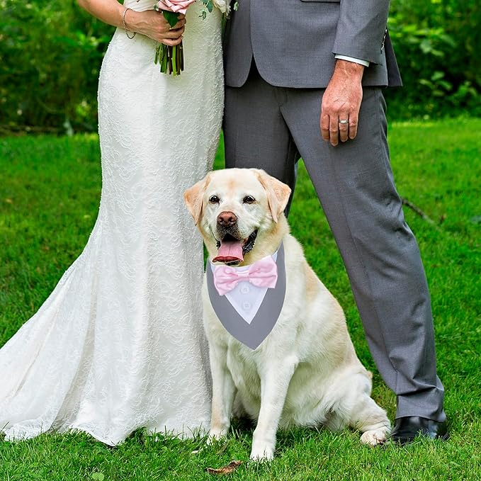 ADOGGYGO Formal Dog Tuxedo Wedding Pet Bandana Collar with Bowtie, Adjustable Birthday Wedding Formal Tux Costumes for Extra Large Dogs Pets (XL, Grey)
