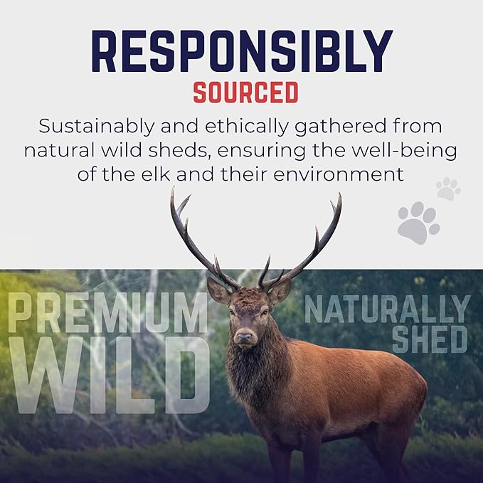 Devil Dog Pet Co. Split Elk Antlers for Dogs, Small 4"+, 2 Pack, Grade A Long Lasting Chew for Aggressive Chewers, Premium USA Naturally Shed Antler – Healthy, No Odor, Durable Dog Chew