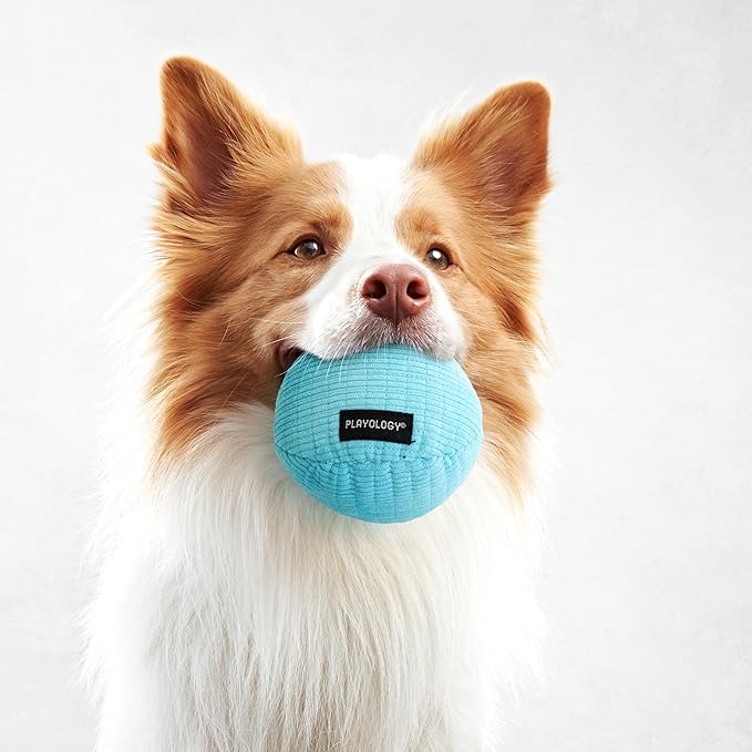Playology Dog Toys | Squeaky Plush Toy Ball for Dogs | Medium Peanut Butter Scented Toy - Easy to Clean and Made from Non Toxic Materials