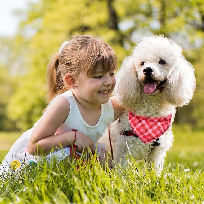 PAWCHIE Dog Bandanas Small Reversible Styles Pet Triangle Scarf Bibs - Adjustable with Two Snaps - Kerchief Set Accessories for Dogs, Puppy, Cats