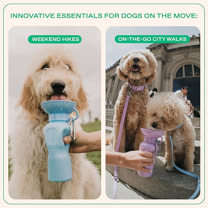 Springer by Springland Dog Water Bottle | Portable Travel Water Bottle Dispenser for Dogs | Dog Gift Seen on Oprah's Favorite Things, Shark Tank | Leak-Proof Bottles | BPA-Free 22oz Lilac