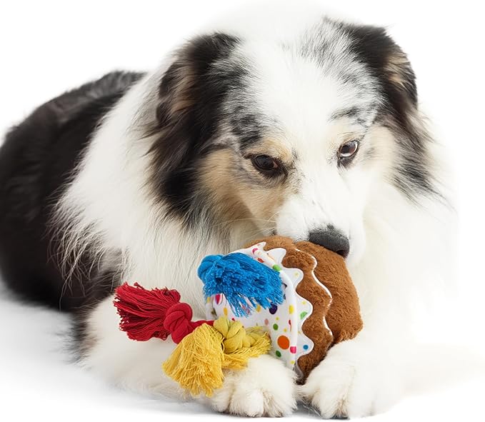LE SURE Dog Birthday Cake Toy - Cute Dog Birthday Cake Squeaky Toy with Interactive Tug Rope, Interactive Chew Toy for Puppy Birthday Party & Daily Play, XSmall, Milk Chocolate