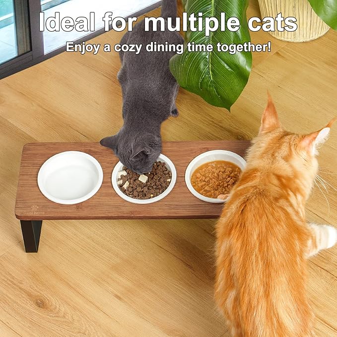 Sunhoo Raised Cat Food Water Bowl Elevated Tilted Kitty Dishes Set of 3 Ceramic Dish for Indoor Cats Orthopedic Pet Food Stand Reduces Vomiting 3 Bowl Cat Feeder Easy Assembly(Brown)