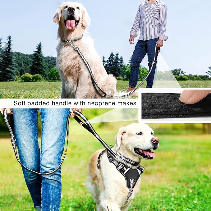 WINSEE Pet Harness Collar and Leash Set, All-in-one Reflective Dog Harness No Pull with Adjustable Buckles for Puppies, Small, Medium, Large, and Extra-Large Dogs (Small, Black)