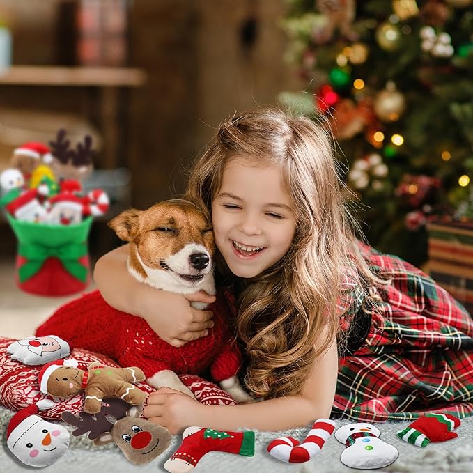 Squeaky Dog Toys, 11 Pcs Christmas Interactive Dog Toy Collection in Flower Bouquet Packaging,10 Adorable Animal Plush Toy