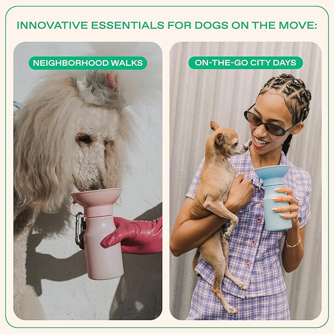 Springer by Springland Dog Water Bottle | Portable Travel Water Bottle Dispenser for Dogs | Dog Gift Seen on Oprah's Favorite Things, Shark Tank | Leak-Proof Bottles | BPA-Free 15oz Lilac