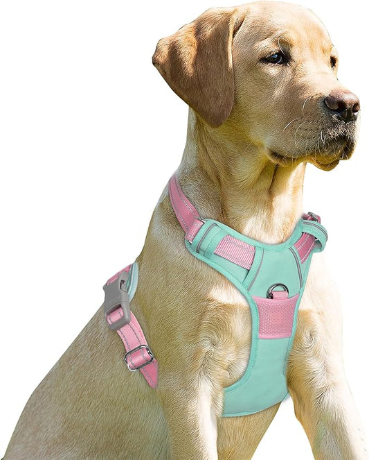 BARKBAY No Pull Dog Harness Front Clip Heavy Duty Reflective Easy Control Handle for Large Dog Walking(Cool Mint & Baby Pink,XS)