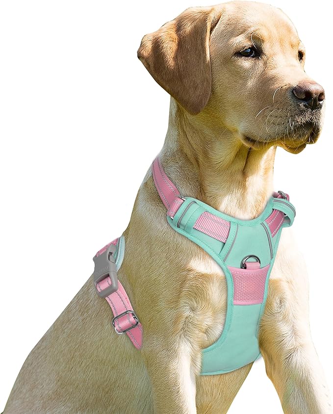 BARKBAY No Pull Dog Harness Front Clip Heavy Duty Reflective Easy Control Handle for Large Dog Walking(Cool Mint & Baby Pink,S)