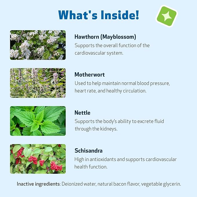 Pet Wellbeing Young at Heart for Cats - Senior Feline Heart Health Support, Cardiovascular Wellness & Vitality - NASC Certified & Vet-Formulated - 2 oz Liquid Formula