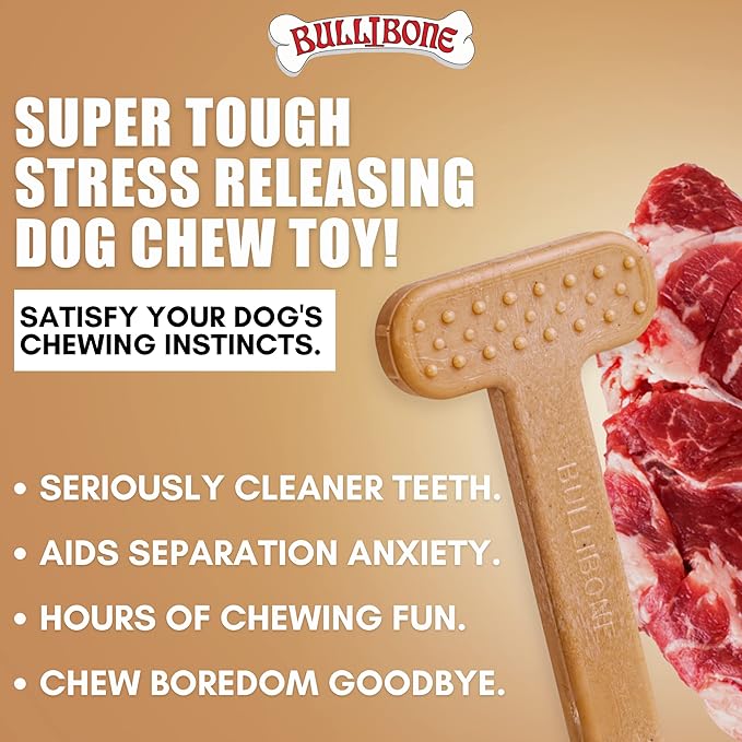 Bullibone Nylon Dog Chew Toy Nylon Bone - Improves Dental Hygiene, Easy to Grip Bottom, and Permeated with Flavor (Beef, XL - 3 Pack)