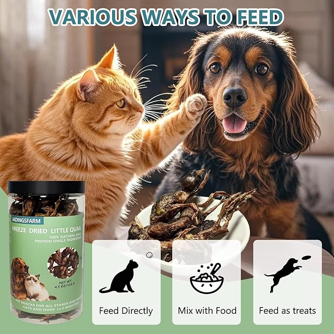 Freeze Dried Little Quail, 4.5 Oz Quail Dogs Cat Treats, Single Ingredient Freeze Dried Cat and Dog Treats Delicious Training Snacks, Natural Food Healthy Animal Protein Pet Food