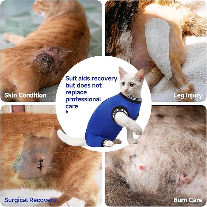 Stress-Free Cat Recovery Suit for Female Cats - Vet-Backed E-Collar Alternative, Anti-Lick & Rear Access Design RoyalBlue M