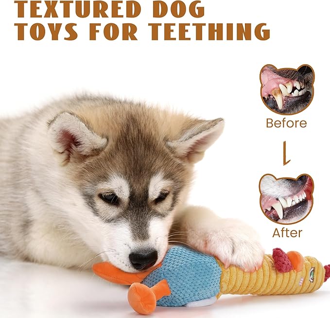 Nocciola 3 in 1 Rip and Reveal Chicken Dog Toy, Suprise Toys Inside- Durable Stuffed Squeaky Crinkle Chew Animal Toy for Medium Large Breed, Funny Cute Teething Keep Busy Pet Supplies