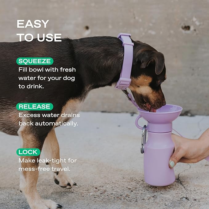 Springer by Springland Dog Water Bottle | Portable Travel Water Bottle Dispenser for Dogs | Dog Gift Seen on Oprah's Favorite Things, Shark Tank | Leak-Proof Bottles | BPA-Free 15oz Lilac