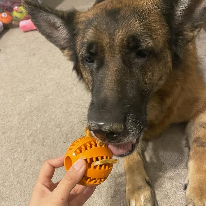 Jalousie Dog Puzzle Balls Dog Treat Dispensing Balls Non-Toxic Natural Rubber Dog Chew Toys for Puppy Pet Dog Teething Puzzle Playing Treat Dispenser Rope Balls (Small, 6 Pack Assorted)