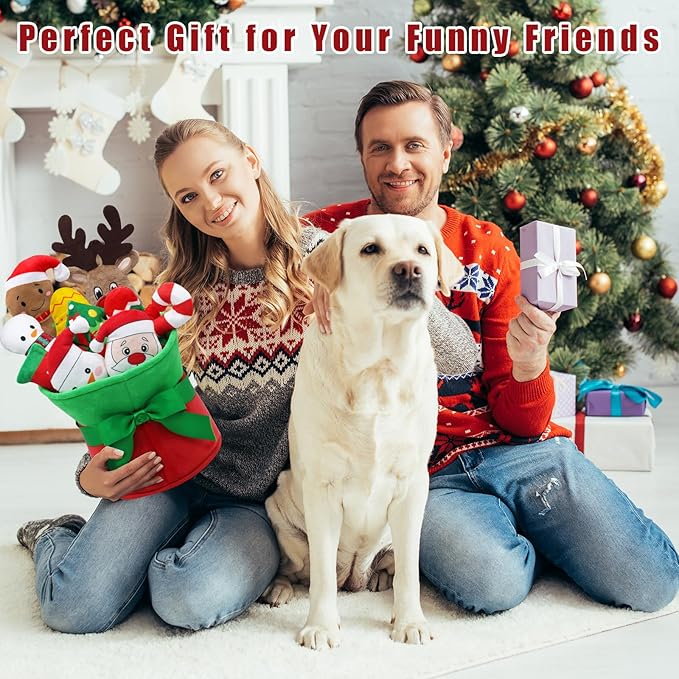Squeaky Dog Toys, 11 Pcs Christmas Interactive Dog Toy Collection in Flower Bouquet Packaging,10 Adorable Animal Plush Toy