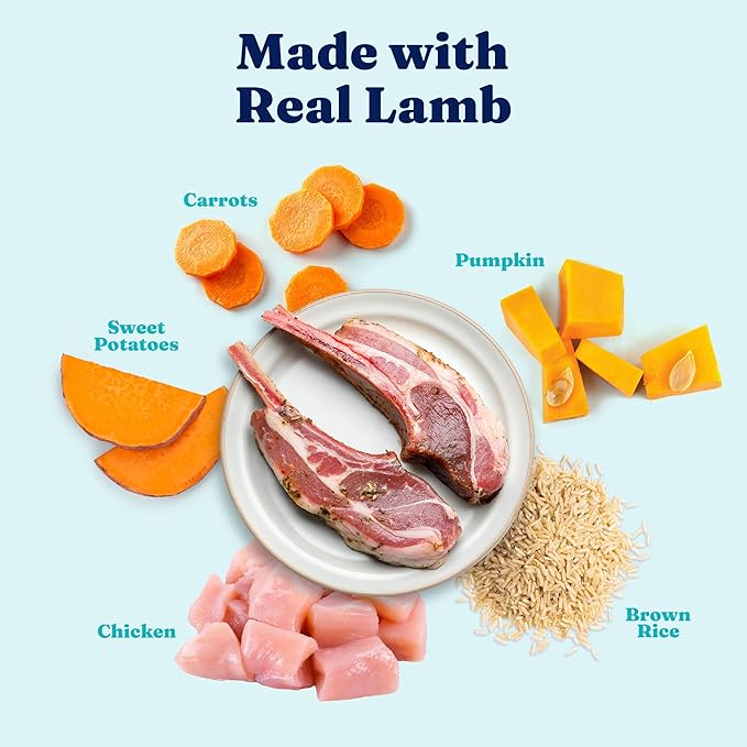 Solid Gold Canned Dog Food for Adult & Senior Dogs - High Protein Wet Dog Food w/Real Lamb, Whole Grains & Probiotics for Gut Health & Immunity - Small, Medium & Large Breed Dogs - 6ct 12.5oz Cans