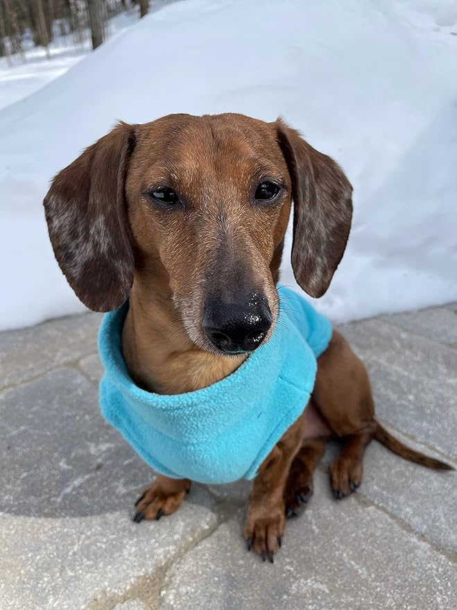 Gooby Zip Up Fleece Dog Sweater - Turquoise, Medium - Warm Pullover Fleece Step-in Dog Jacket with Dual D Ring Leash for Small to Medium Dogs