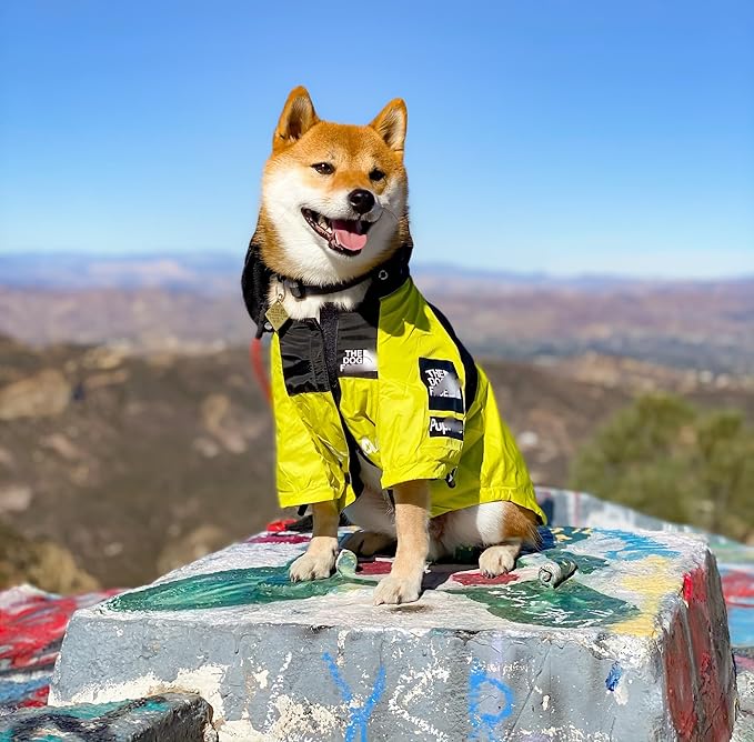 ChoChoCho NASA Dog Raincoat, Reflective Water Proof Rain Jacket, Costume, Clothes, Pet Stylish Streetwear Outfit for Cat Puppy Small Medium Large