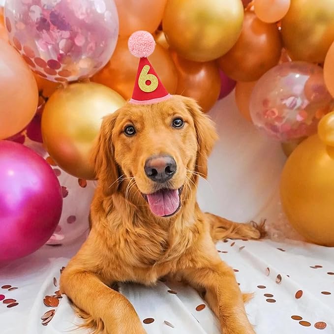 Pet Birthday Hat with Interchangeable Numbers 1-10 | Adjustable Pet Party Cone Hat for Dogs & Cats | Puppy Birthday Photo Props for 1st to 10th Birthday Celebrations (Red Birthday Pet Hat)