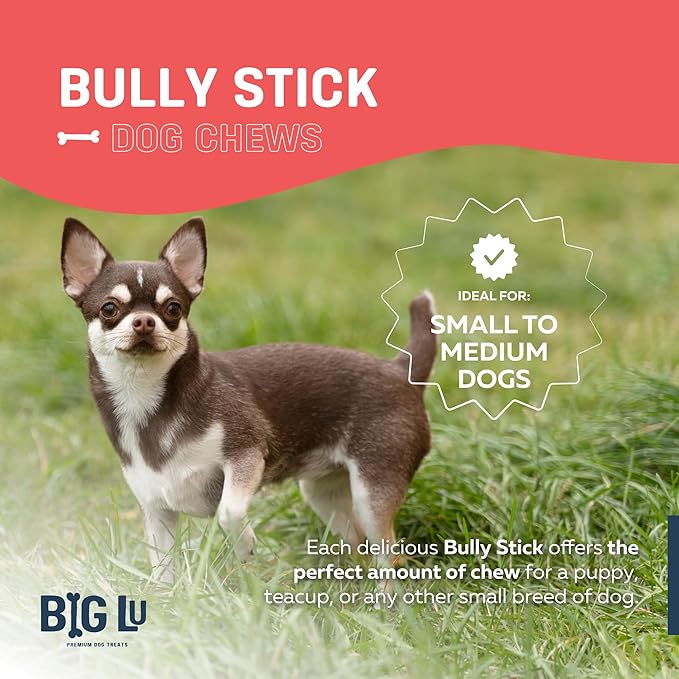 Big Lu - 4” Bully Sticks, 10 Count, 100% Grass-Fed Beef Chews, Fully Digestible, Long-Lasting Treats for Puppies and Small to Medium Dogs, Natural Single-Ingredient Chews for Keeping Dogs Busy