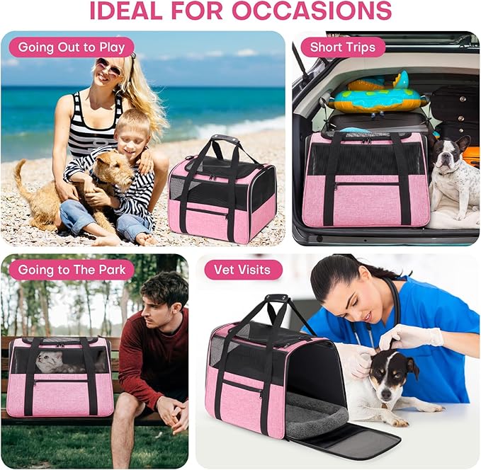 JUNGYOUN Premium Cat Carrier - Pet Carrier for Cat & Small Dogs up to 15lbs - Airline Approved Travel Dog Carrier with Anti-Escape Zippers, Collapsible Travel Bowl & Padded Strap