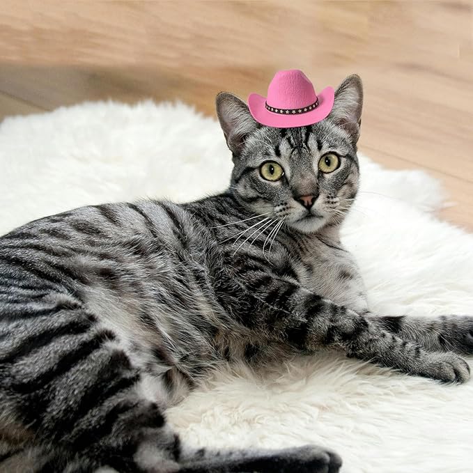 Dog Cowboy Hat Cat Cowboy Hat Pet Cowboy Costume Mini Cowboy Hat for Dogs Cat Holiday Halloween Pet Party Decoration (Pink, Small)