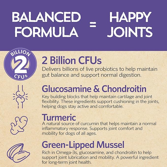 Fidobiotics Hip & Joint Support for Dogs, Daily Probiotics for Dogs with Glucosamine & Chondroitin for Gut Health and Mobility, Turmeric Tikka-Masala Flavor - 20 Servings