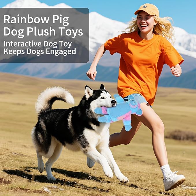 Dog Toys Plush, Squeaky Stuffed Dog Toy, Rainbow Pig Dog Toys for Small Medium Breeds, Soft Dog Plush Toy, Puppy Teething Dog Toy, Interactive Dogs Toy for Indoor Dogs(Blue)
