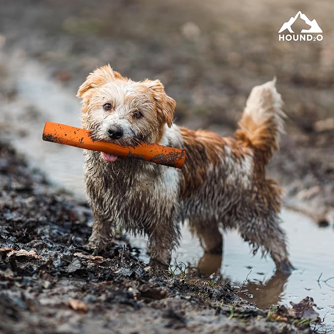 Playology Hound2O Dog Toys | Fetch StickToy for Dogs, Orange | Durable Rubber Outdoor Toy - Easy to Clean and Made from Non Toxic Materials
