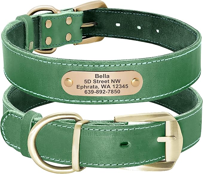 Didog Genuine Leather Dog Collars with Engraved Nameplate, Personalized Soft Leather Dog Collar with Custom ID Tag, Brown/Green/Red for Medium Large Dogs (XXL,Green)
