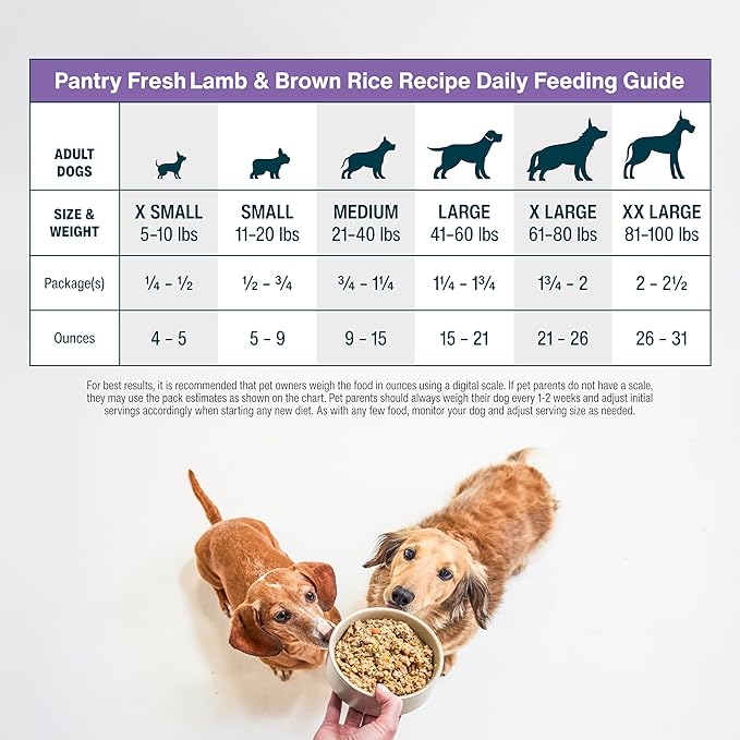 JustFoodForDogs Pantry Fresh Wet Dog Food, Complete Meal or Dog Food Topper, Lamb & Brown Rice Human Grade Dog Food Recipe - 12.5 oz (Pack of 6)