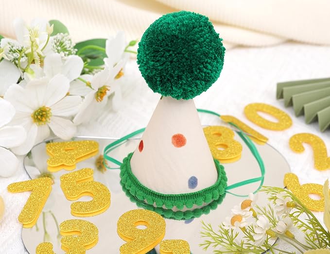 Pet Birthday Hat with Interchangeable Numbers 1-10 | Adjustable Pet Party Cone Hat for Dogs & Cats | Puppy Birthday Photo Props for 1st to 10th Birthday Celebrations (Beige Birtgday Pet Hat)