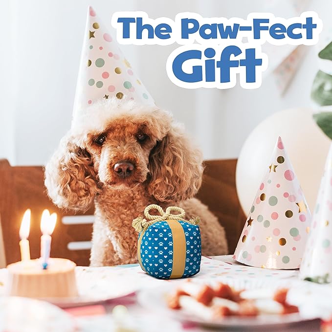 Gift Box Dog Toy – Christmas & Birthday Dog Toy, Interactive Squeaker,Rope, and Crinkles for Cute Puppy Stocking Stuffer