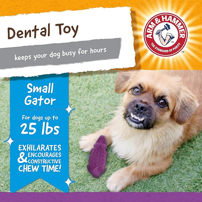 Arm & Hammer for Pets Super Treadz Mini Gator Dental Chew Toy for Dogs Best Dental Dog Chew Toy Dog Dental Chew Toys Reduce Plaque & Tartar Buildup Without Brushing (Pack of 1)